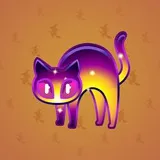 Scared Cat #9808 Scared Cat #9808