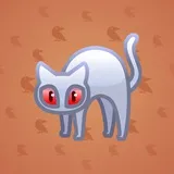 Scared Cat #9825 Scared Cat #9825