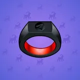 Signet Ring #1299 Signet Ring #1299