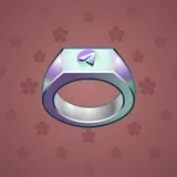 Signet Ring #2492 Signet Ring #2492