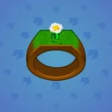 Signet Ring #250