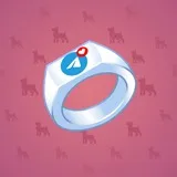 Signet Ring #3147