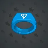 Signet Ring #344 Signet Ring #344