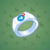Signet Ring #416 Signet Ring #416