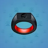 Signet Ring #4739 Signet Ring #4739