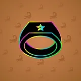 Signet Ring #480 Signet Ring #480