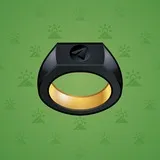 Signet Ring #6085 Signet Ring #6085