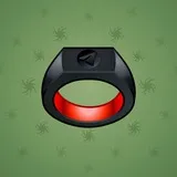 Signet Ring #6113