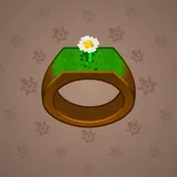 Signet Ring #6753 Signet Ring #6753