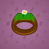 Signet Ring #8140