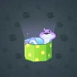 Snake Box #1667 Snake Box #1667