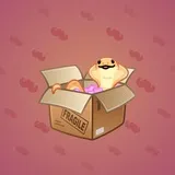 Snake Box #1683 Snake Box #1683