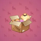 Snake Box #1840 Snake Box #1840