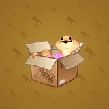 Snake Box #2171 Snake Box #2171
