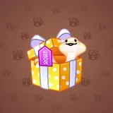 Snake Box #24 Snake Box #24