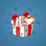 Snake Box #250 Snake Box #250