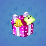 Snake Box #2537 Snake Box #2537