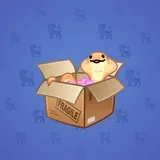 Snake Box #2644