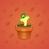 Snake Box #3133