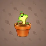 Snake Box #3220