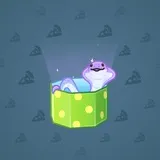 Snake Box #3765 Snake Box #3765