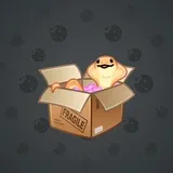 Snake Box #3770