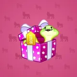 Snake Box #489 Snake Box #489