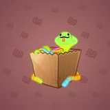 Snake Box #5072