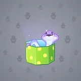 Snake Box #6204