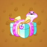 Snake Box #6449