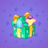 Snake Box #6496
