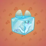 Snake Box #6963
