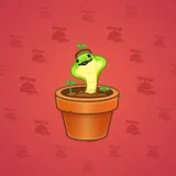 Snake Box #7931