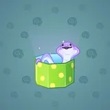 Snake Box #8389 Snake Box #8389
