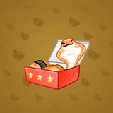 Snake Box #8416 Snake Box #8416