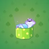 Snake Box #9143
