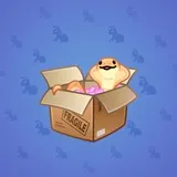 Snake Box #9344 Snake Box #9344