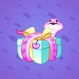 Snake Box #9811 Snake Box #9811