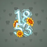 Big Year #45127 Big Year #45127